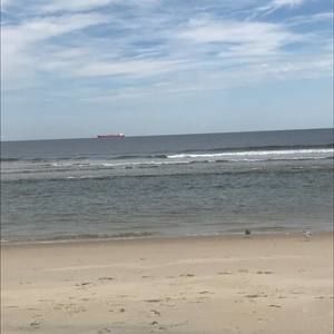 Meet your Posher, Charli